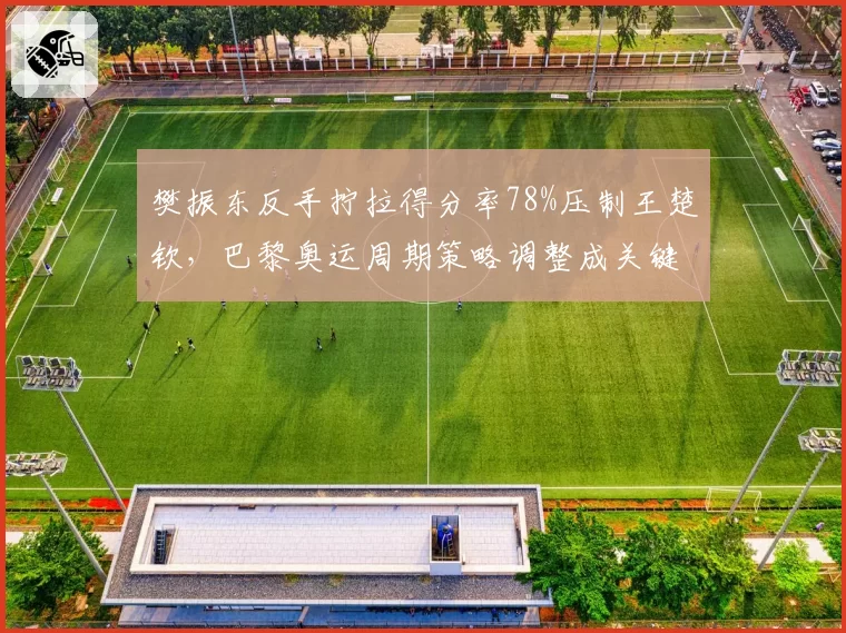 樊振东反手拧拉得分率78%压制王楚钦，巴黎奥运周期策略调整成关键