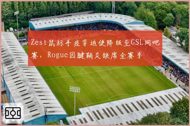 Zest鼠标手痉挛迫使降级至GSL网吧赛，Rogue因腱鞘炎缺席全赛季